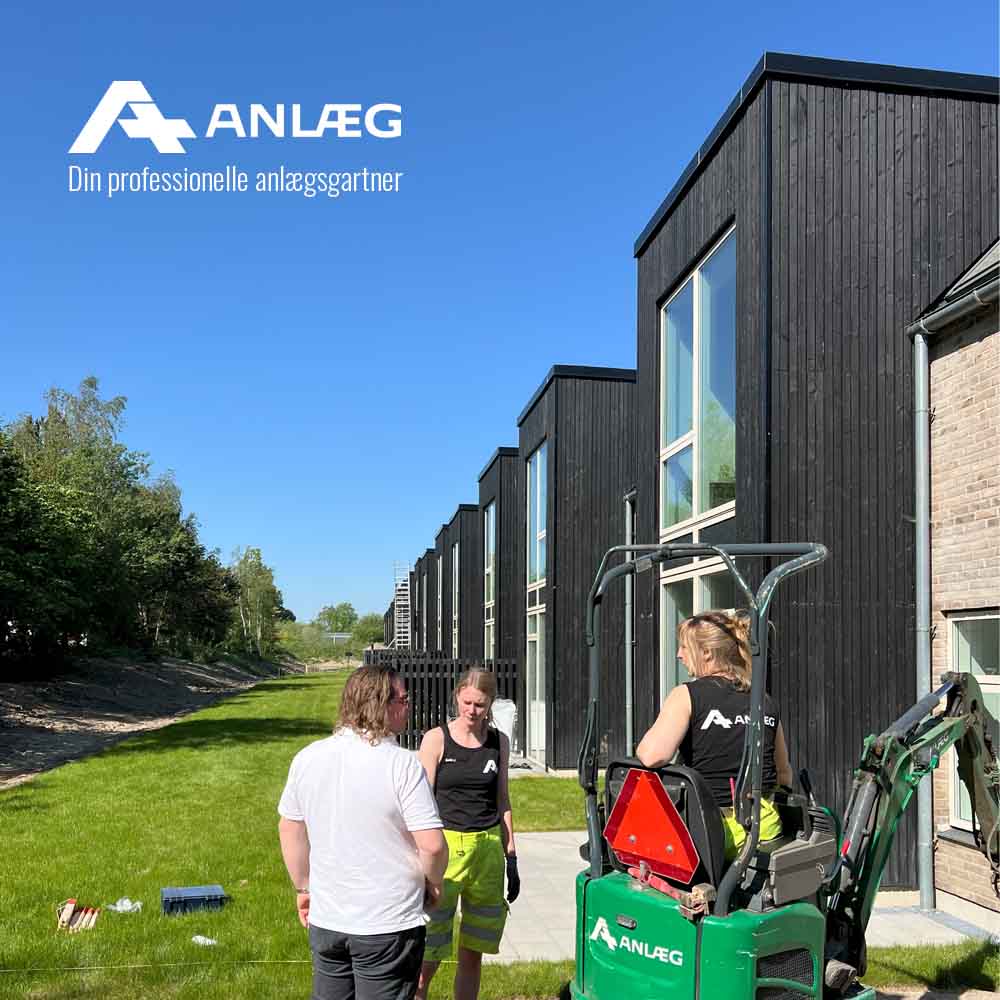 Opstart på Kongeegen kopier